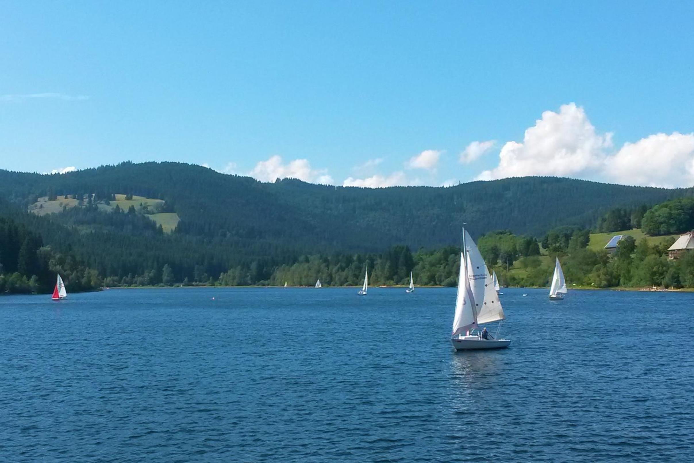 Ferienwohnung Schwarzwaldnest Feldberg