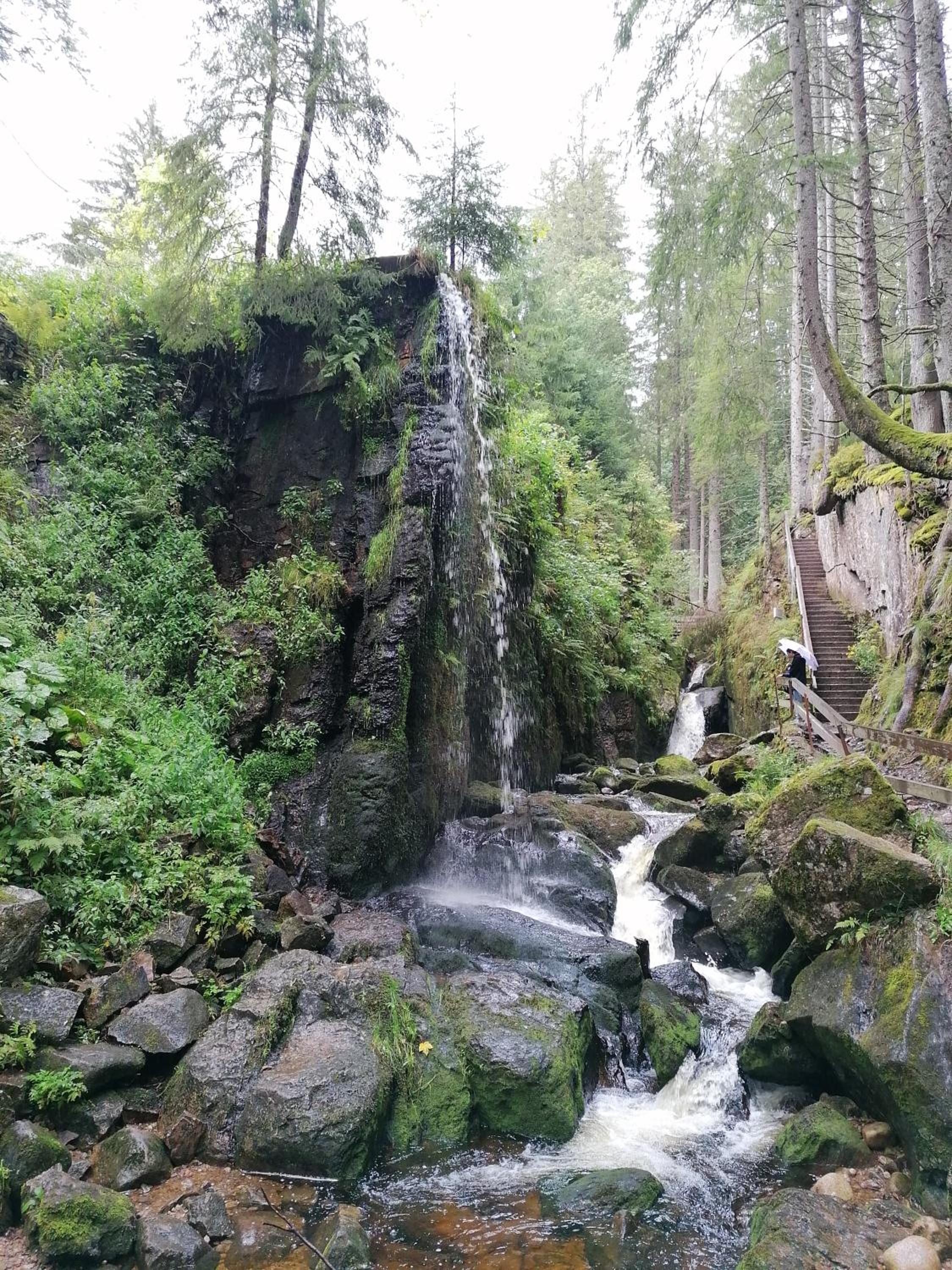 Ferienwohnung Schwarzwaldnest Feldberg