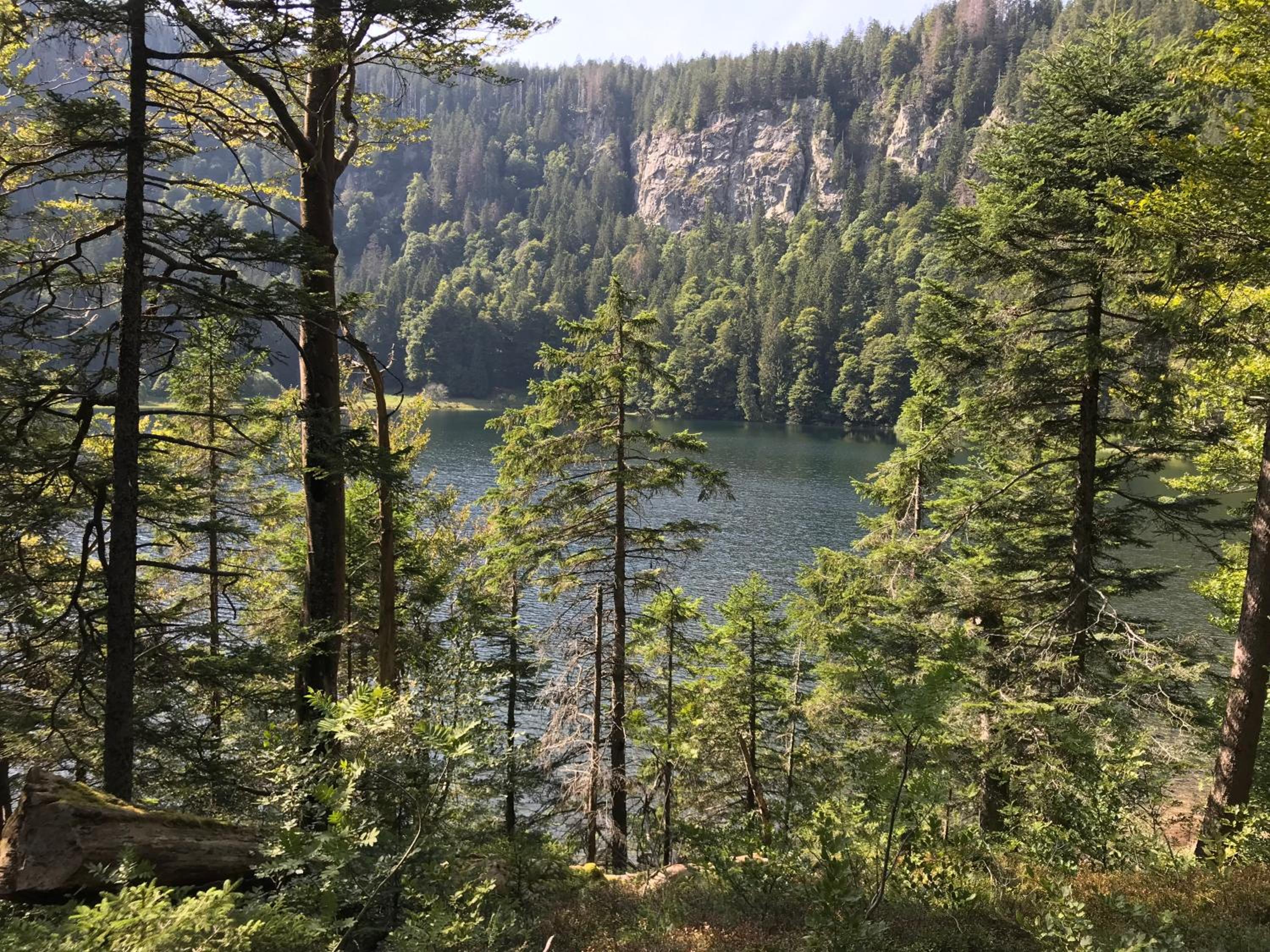 Ferienwohnung Schwarzwaldnest Feldberg