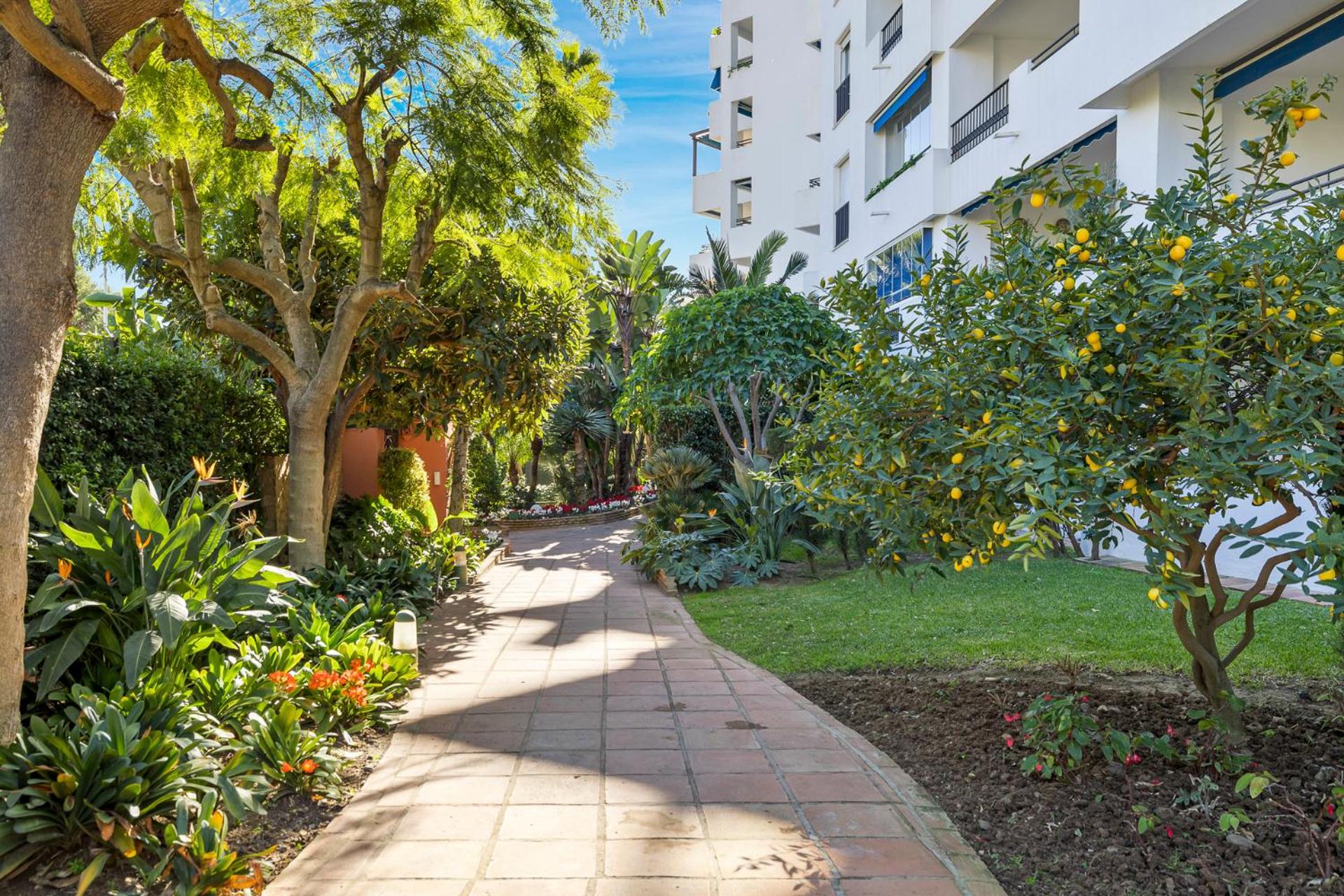Marbella Vacations - Estudio en medina garden - Property Image 2