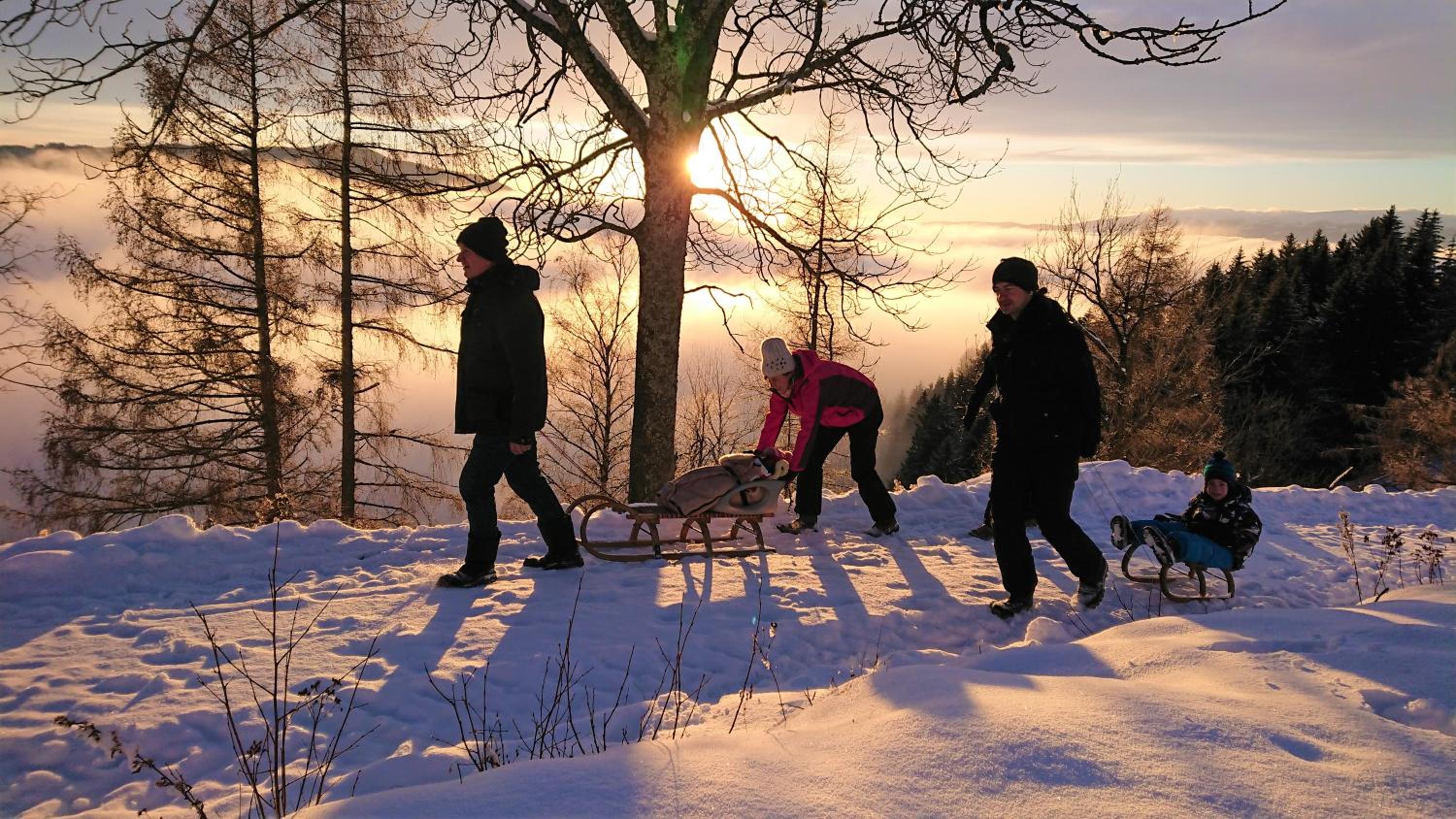 Ferienhaus Lärchenhütte