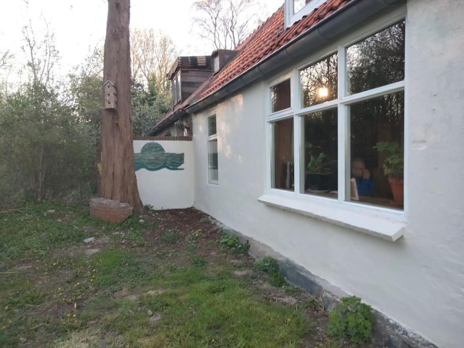 Vogelvrij
