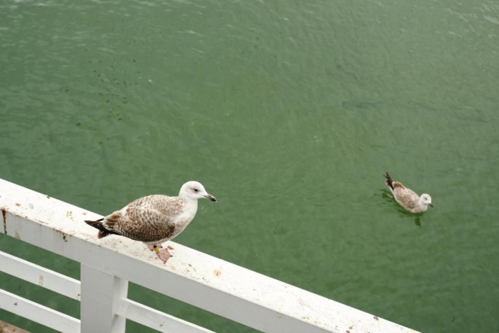 Photo 43