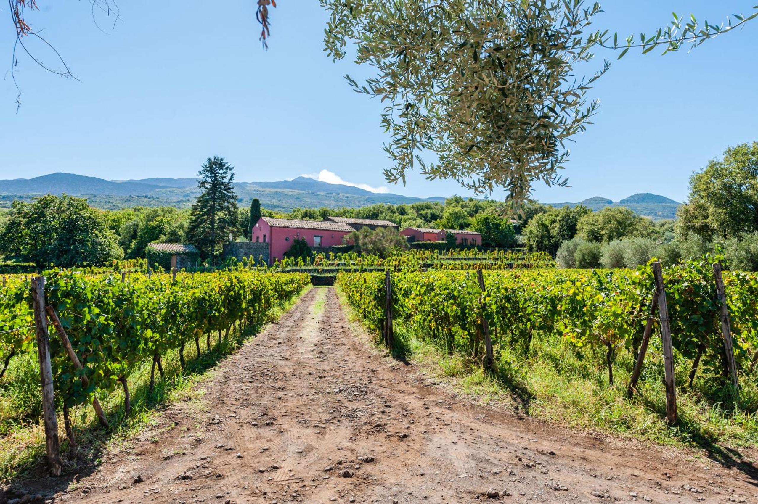 Terrazze dell'Etna - Country rooms and apartments view 4