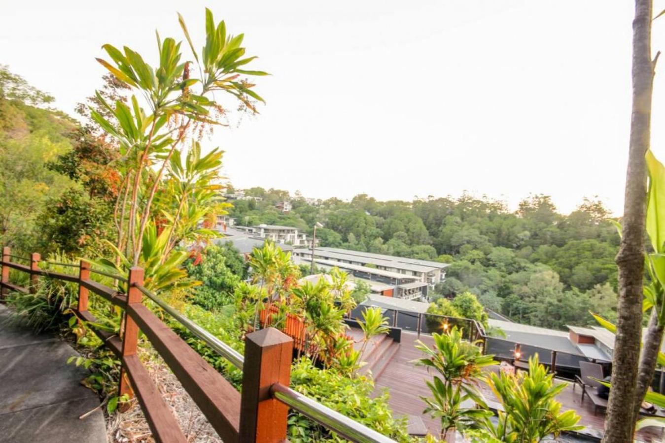 7407 Gorgeous Rainforest Outlook