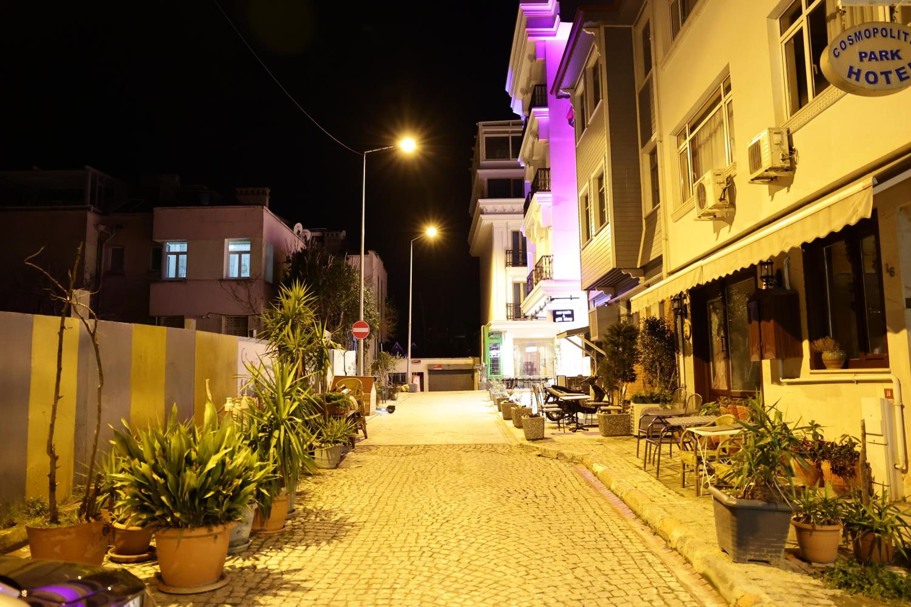 Bonita Apart - Image 104