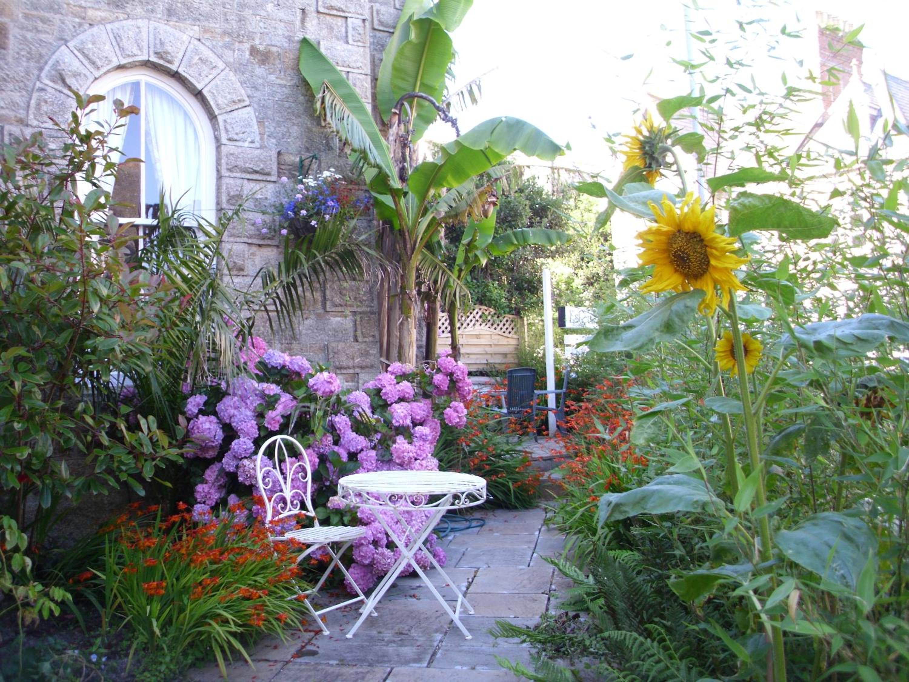 Penzance Seaside studios