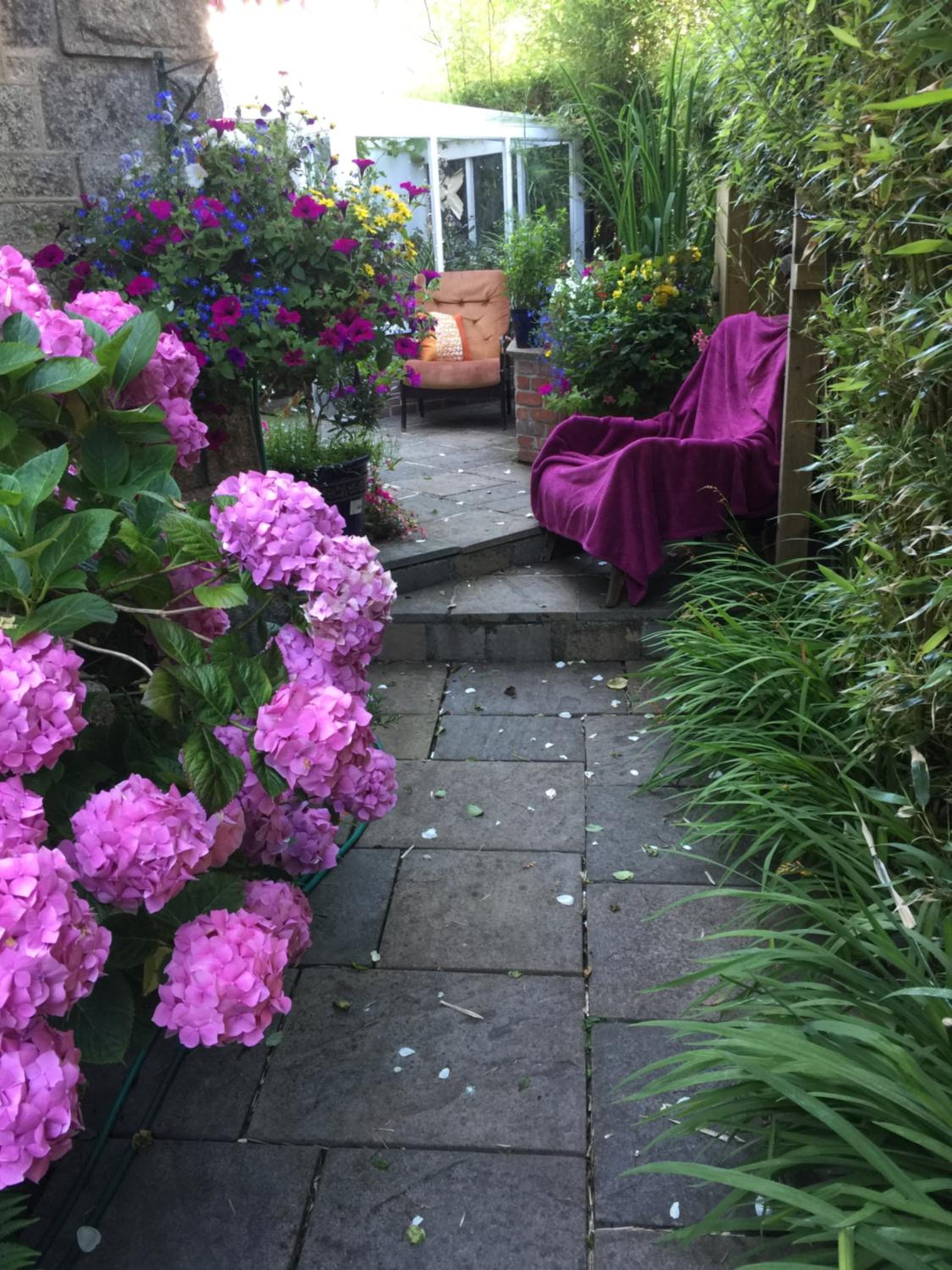 Penzance Seaside studios