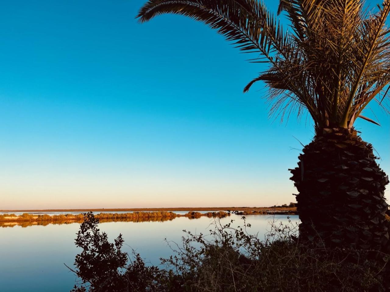 Casa Bamboo Tavira