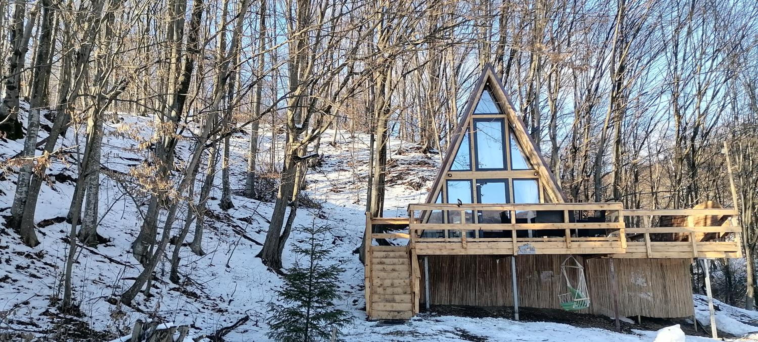 CabanaAframe intreaga proprietate