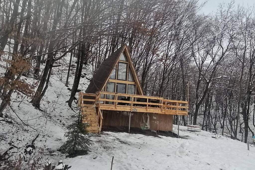CabanaAframe intreaga proprietate
