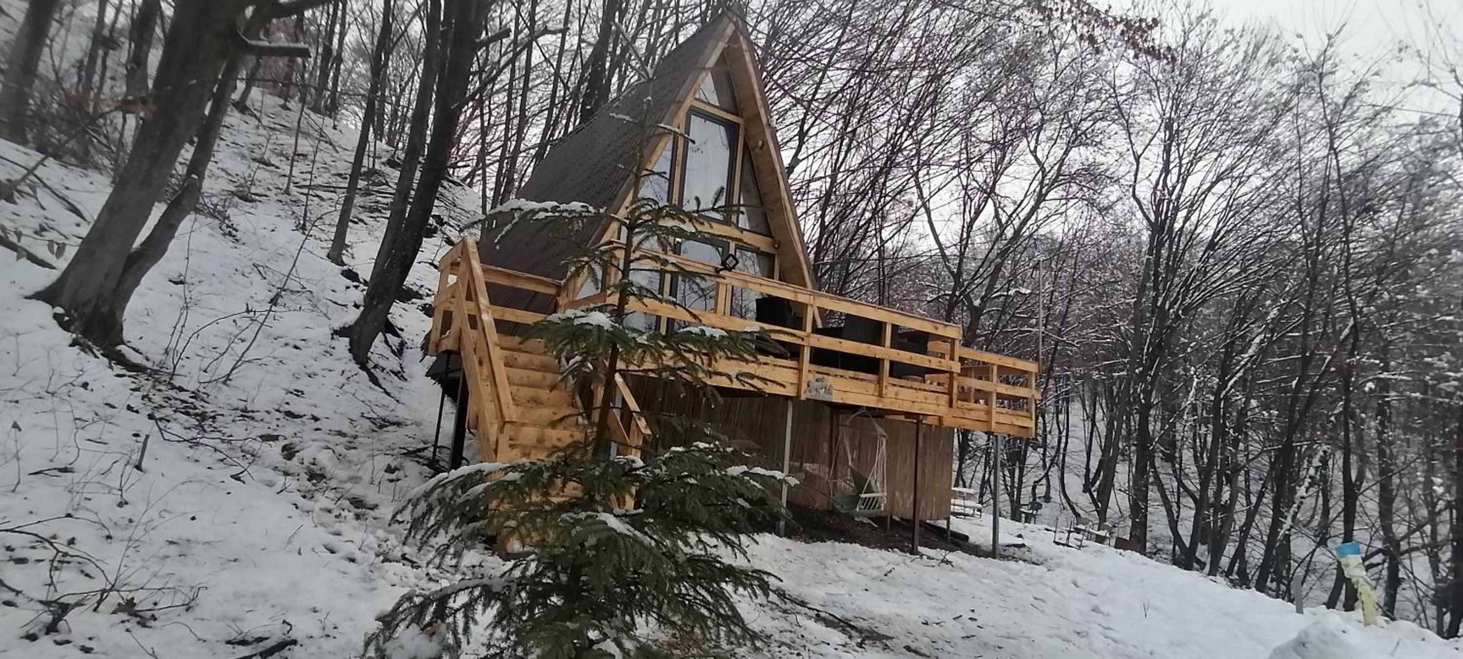 CabanaAframe intreaga proprietate