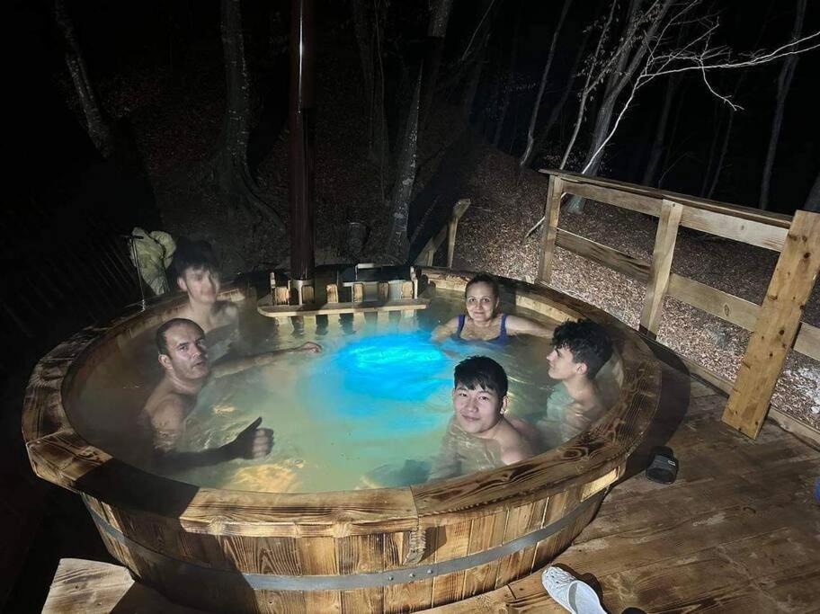 CabanaAframe intreaga proprietate