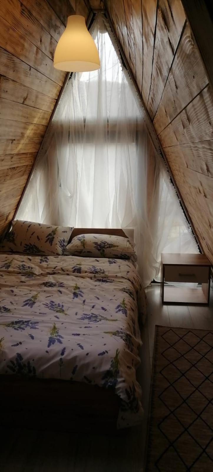 CabanaAframe intreaga proprietate