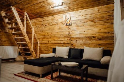 CabanaAframe intreaga proprietate
