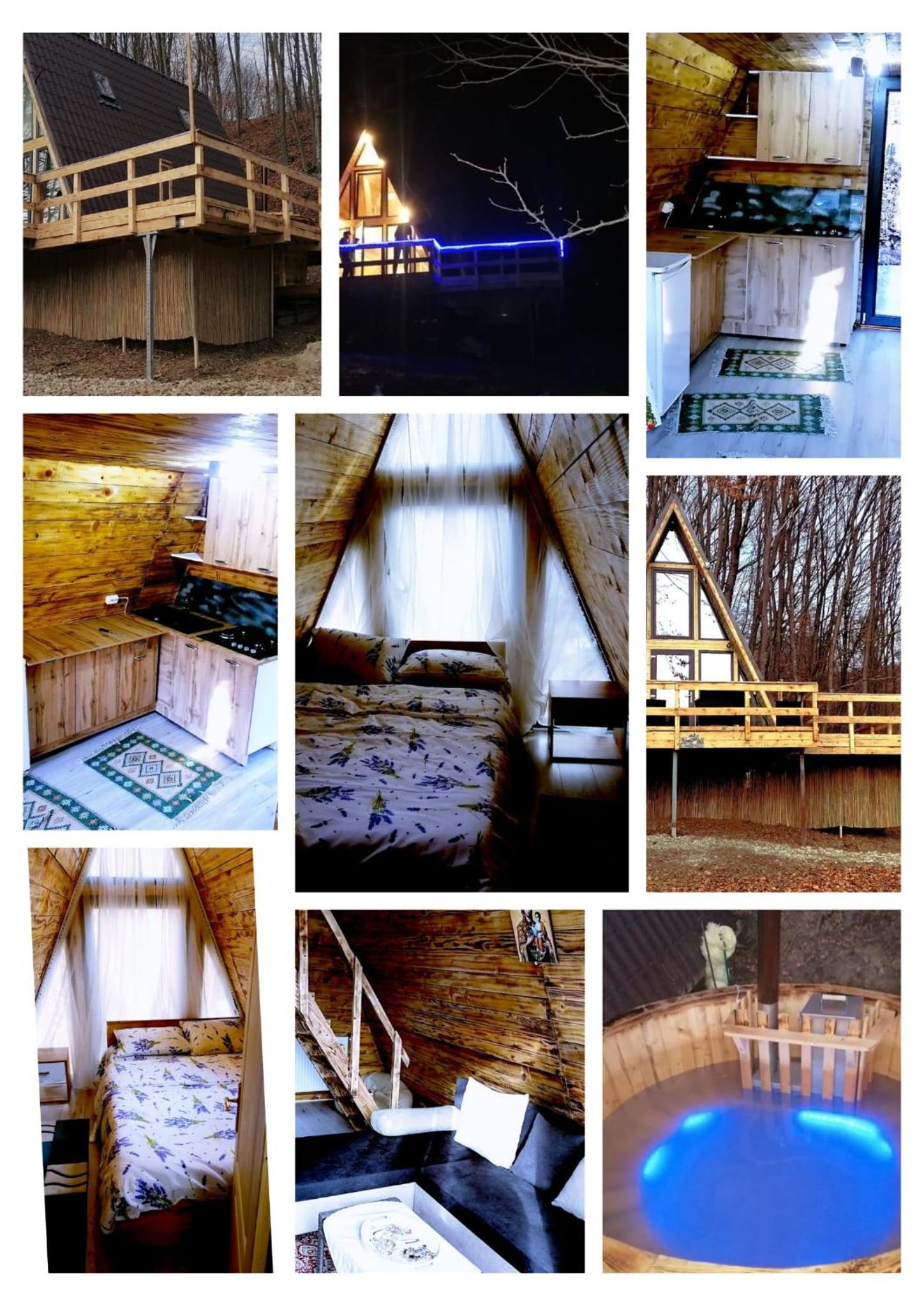 CabanaAframe intreaga proprietate