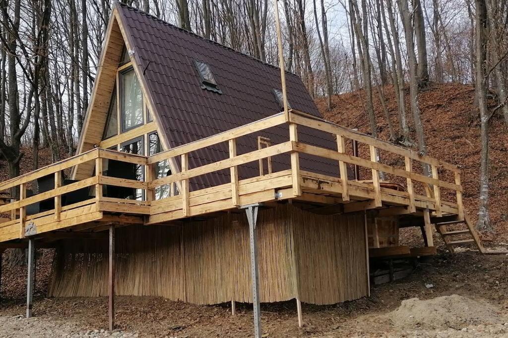 CabanaAframe intreaga proprietate