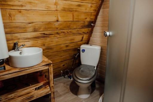 CabanaAframe intreaga proprietate