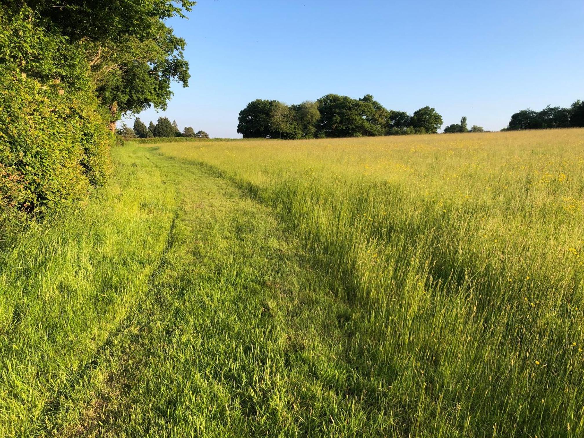 Goodwin Farm