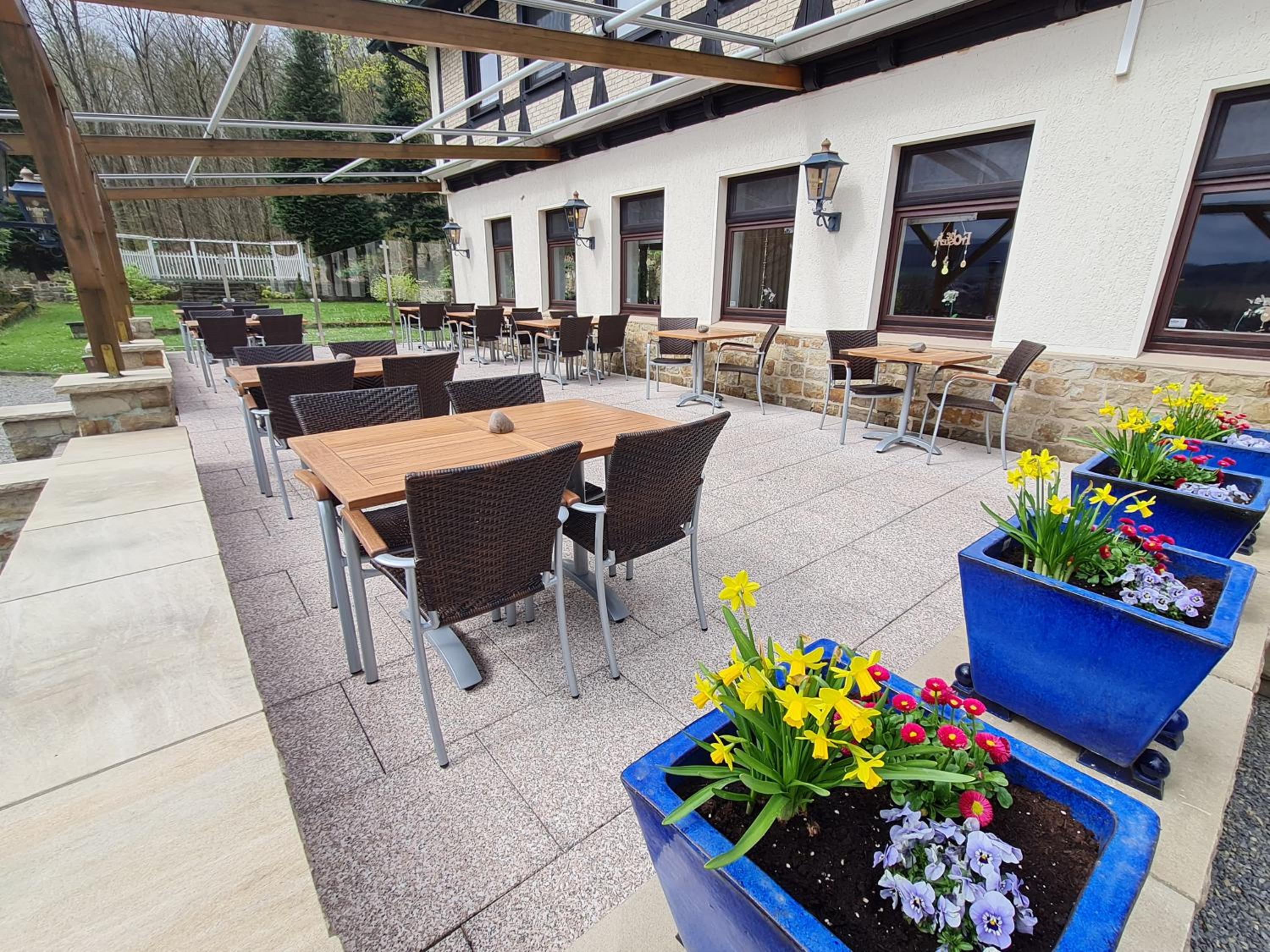 Hotel Waldquelle - Baumhaushotel Aerzen - Property Image 15