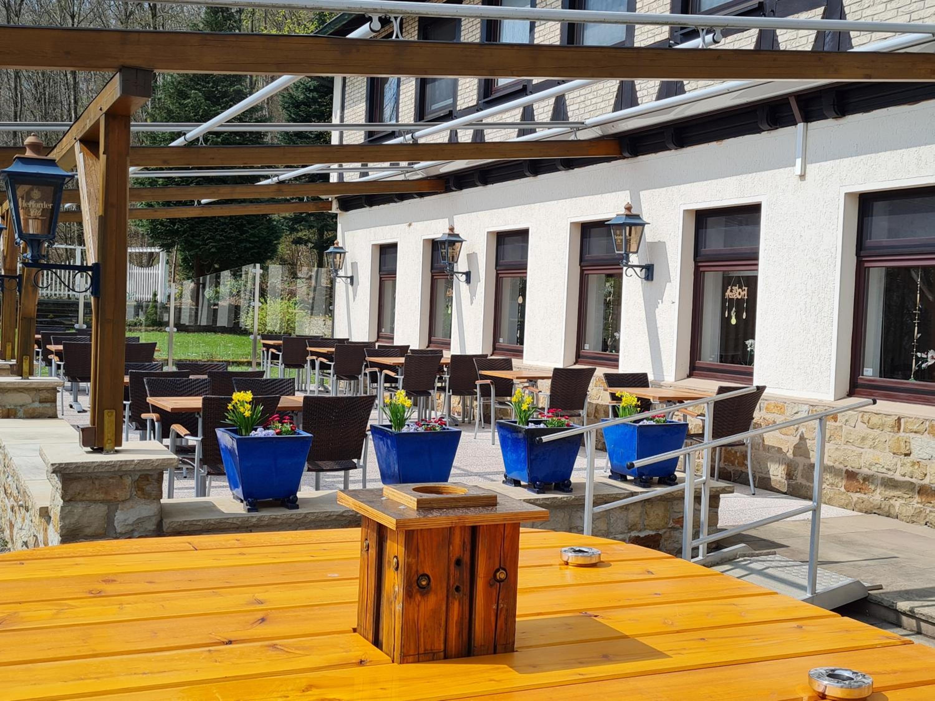 Hotel Waldquelle - Baumhaushotel Aerzen - Property Image 12