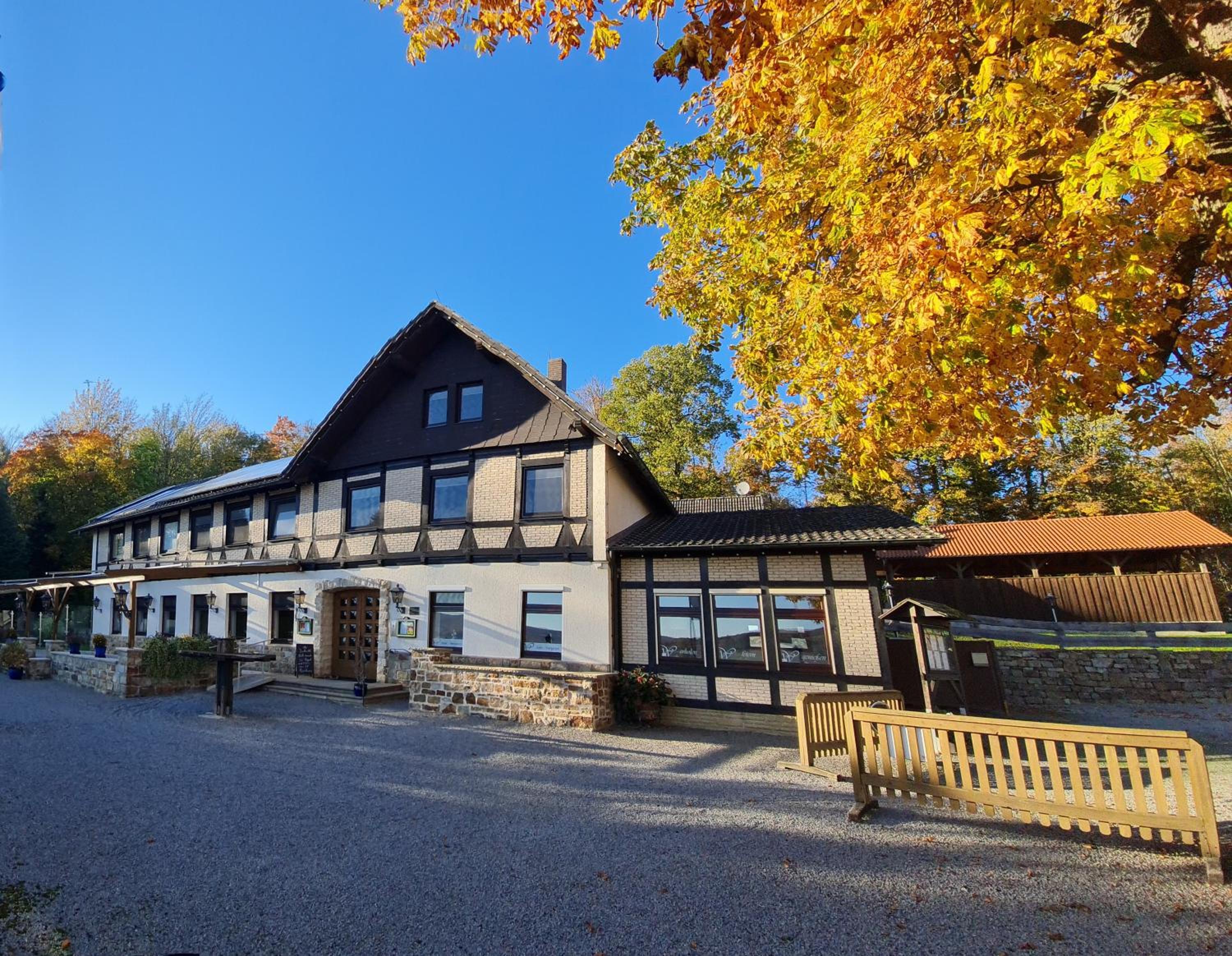 Hotel Waldquelle - Baumhaushotel Aerzen - Property Image 3