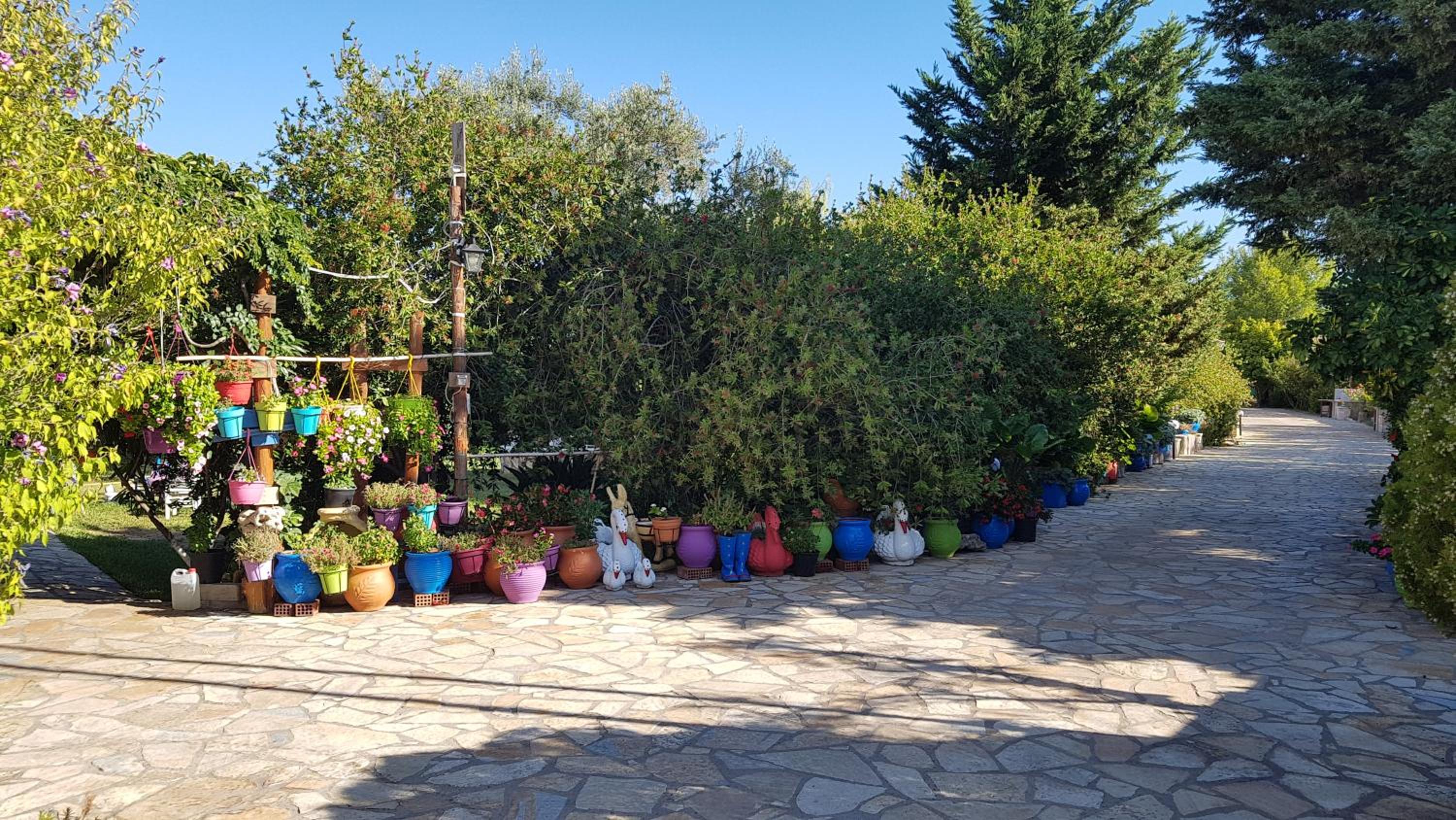 Evaggelia Studios