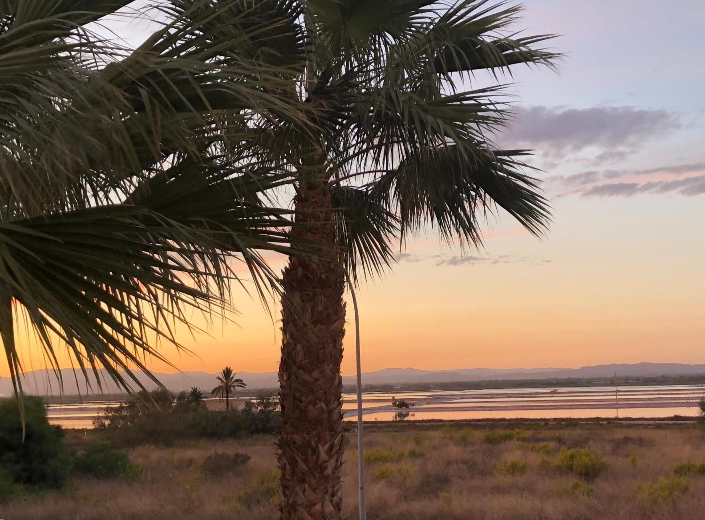 LOVELY Sunset