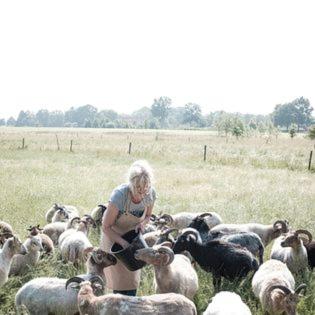 Photo 42