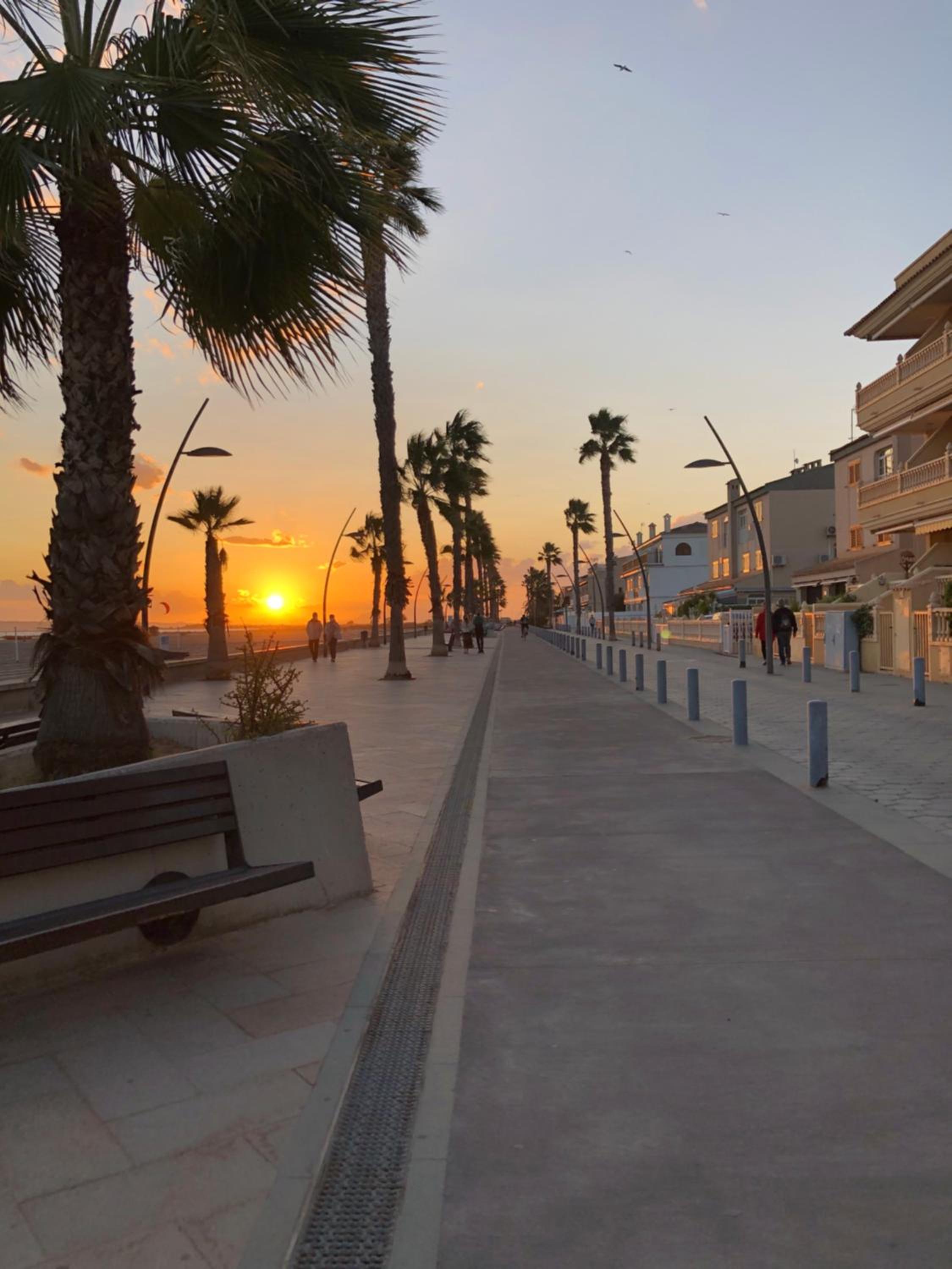 LOVELY Sunset