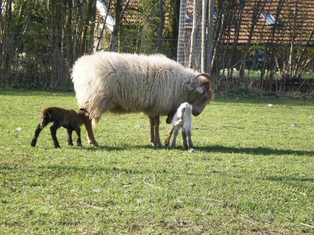 Photo 48