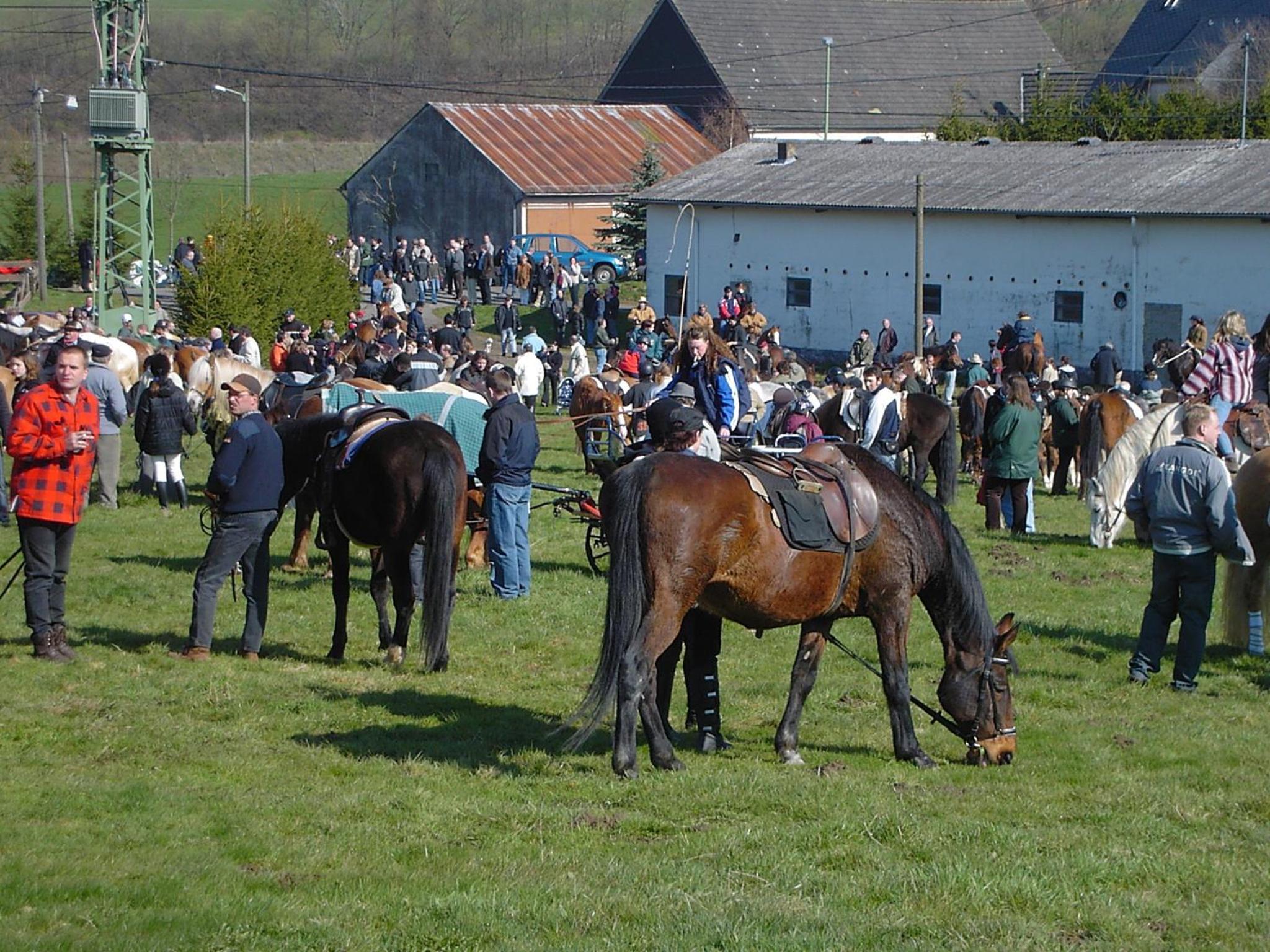 Photo 27