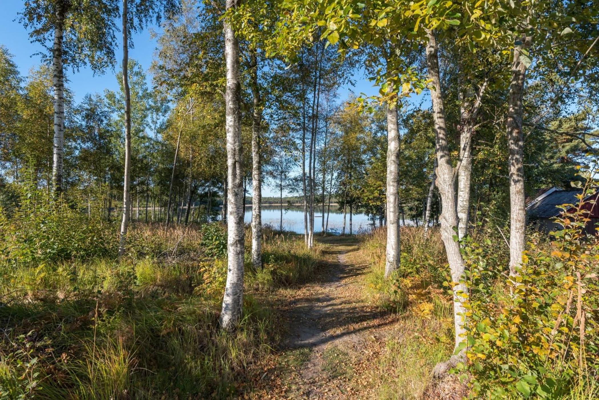 Photo 30