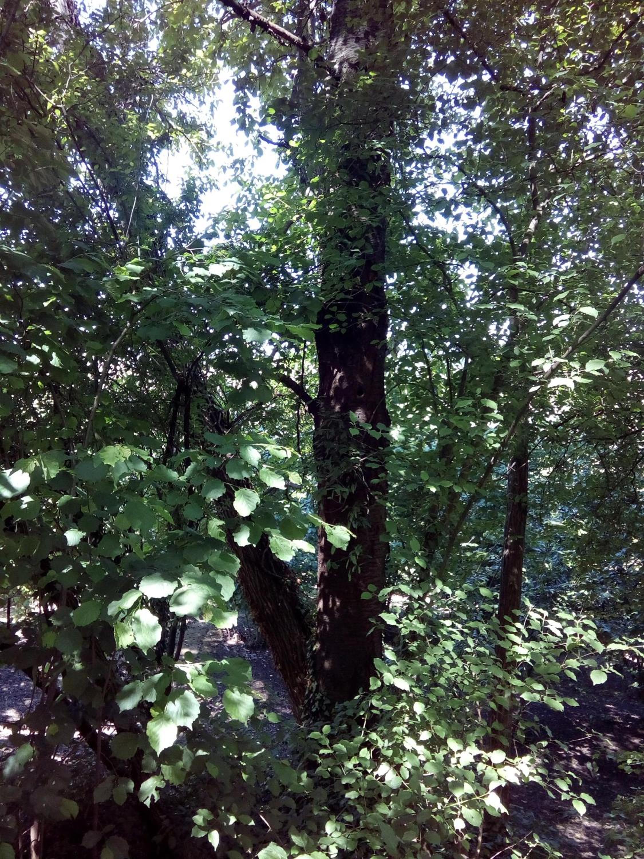 Photo 26