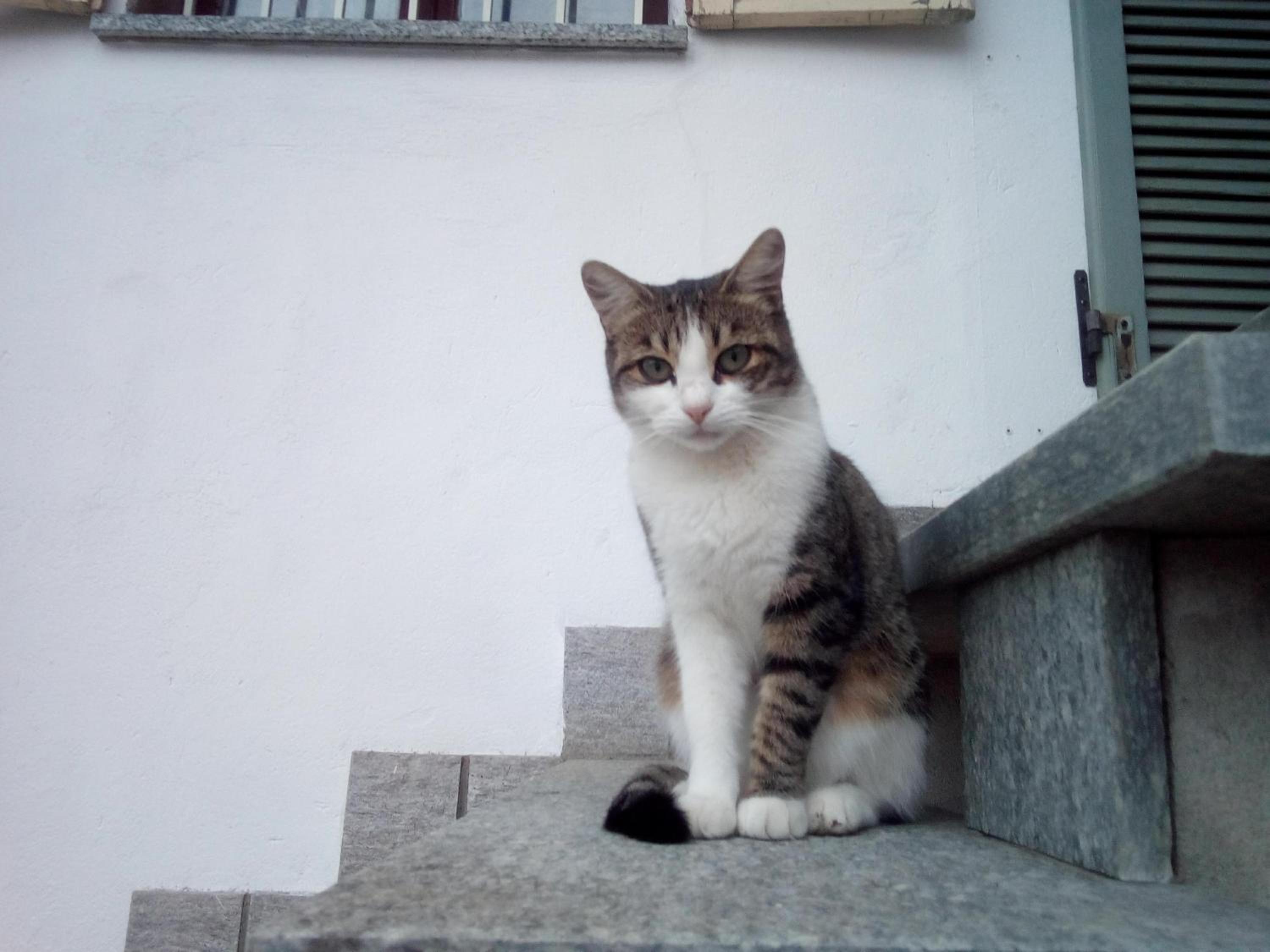 Photo 33