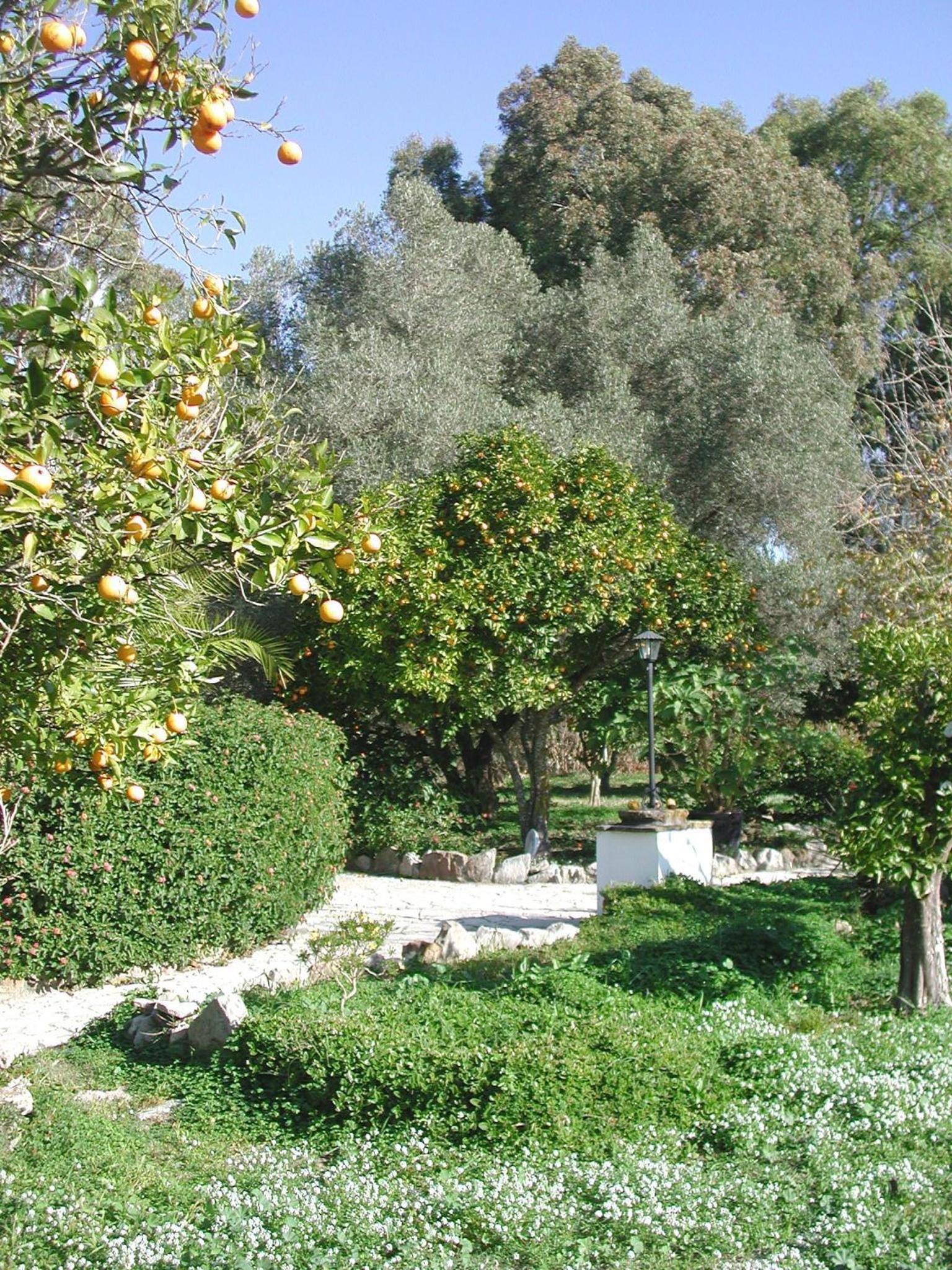 Photo 67