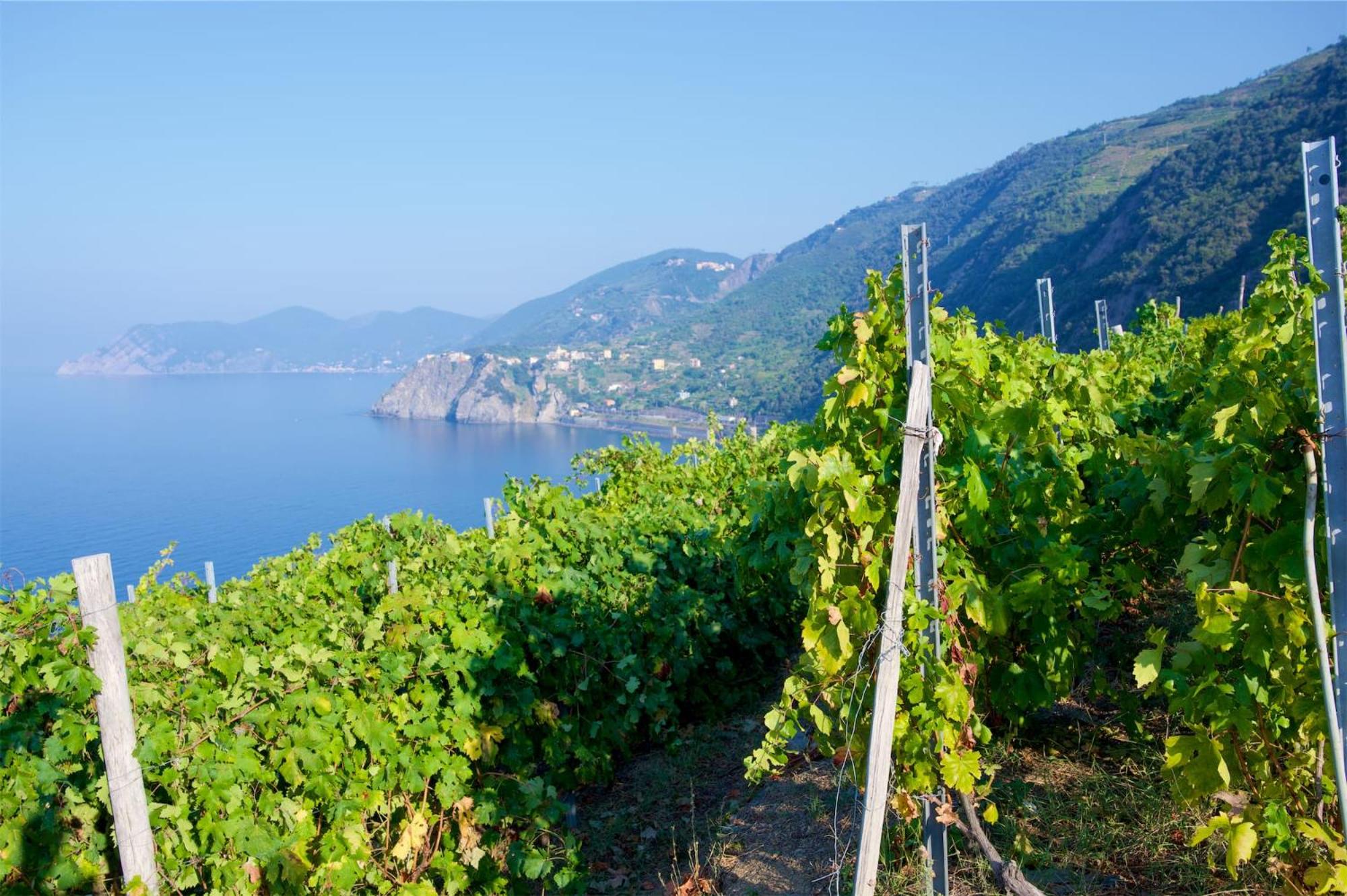 La tua Casa vicino a Portovenere