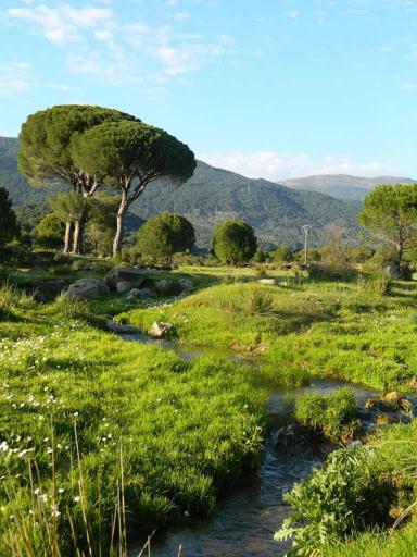 La Encina del Abuelo