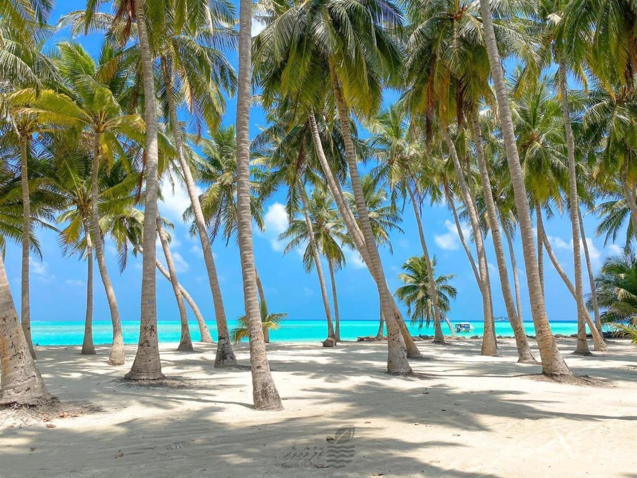 SIS Tourist Villa, Mathiveri, Maldives