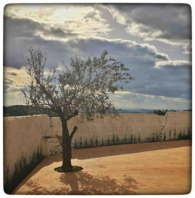 CASA RURAL LOS ALTOS