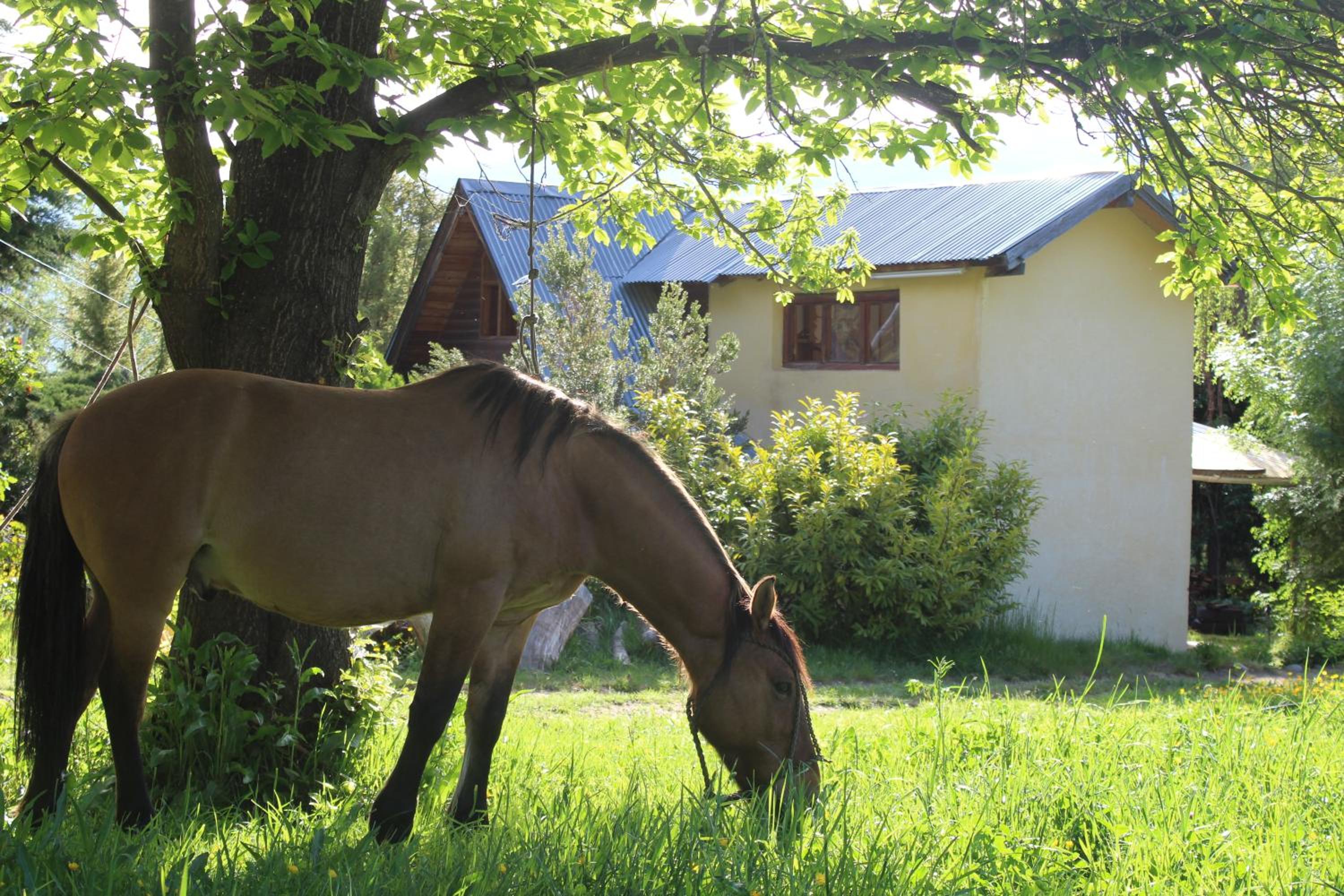 ChacraKremen