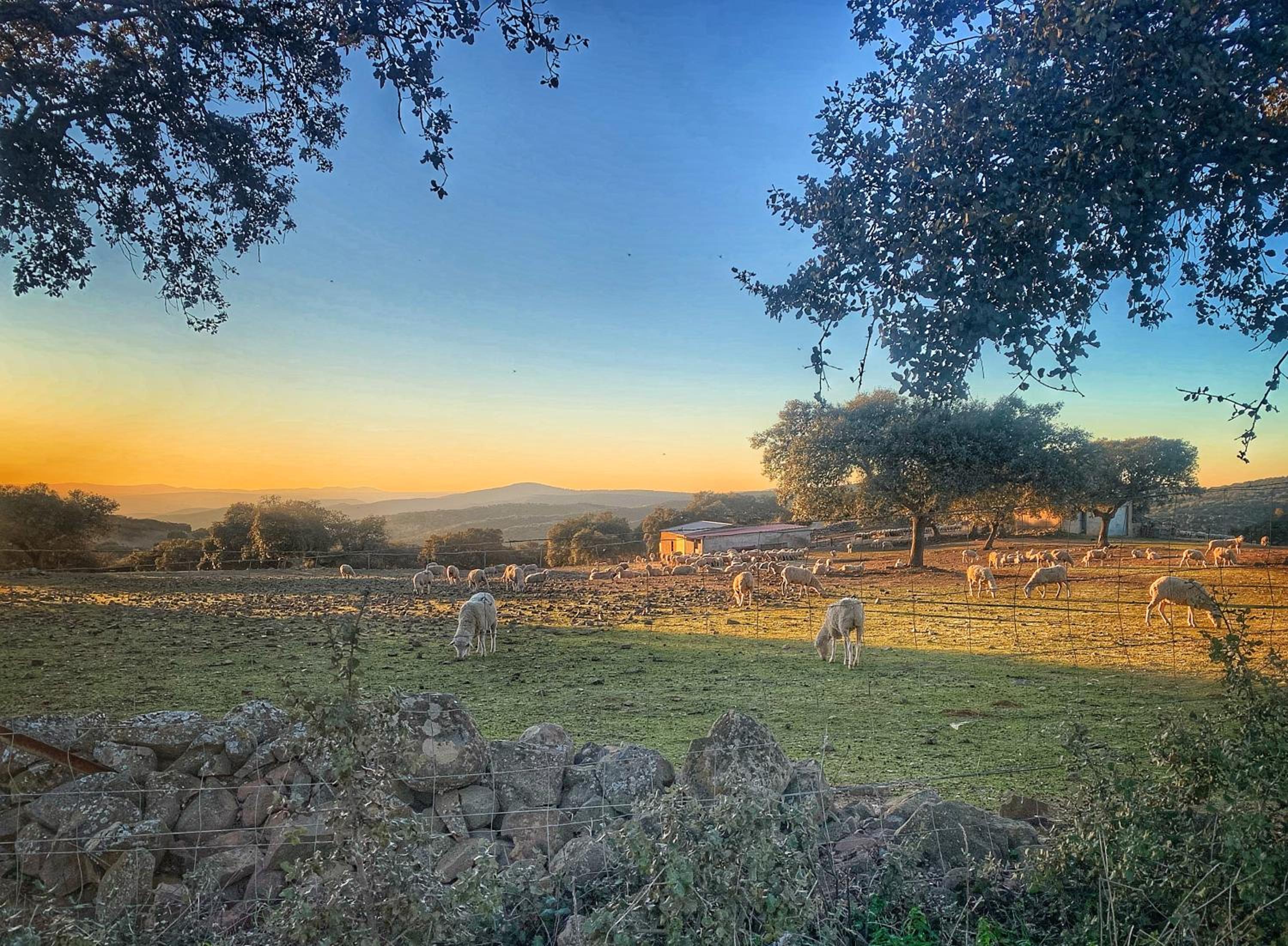 CASA RURAL LOS ALTOS