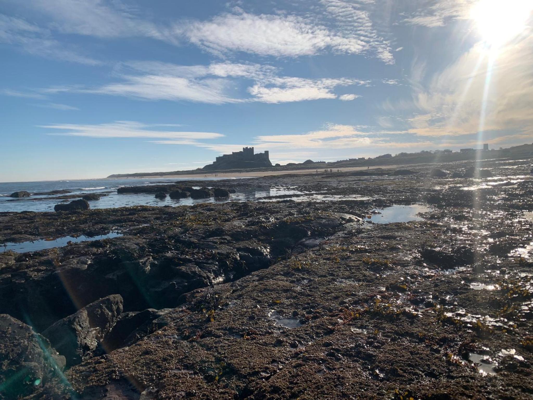 Brada View - Bamburgh, Northumberland