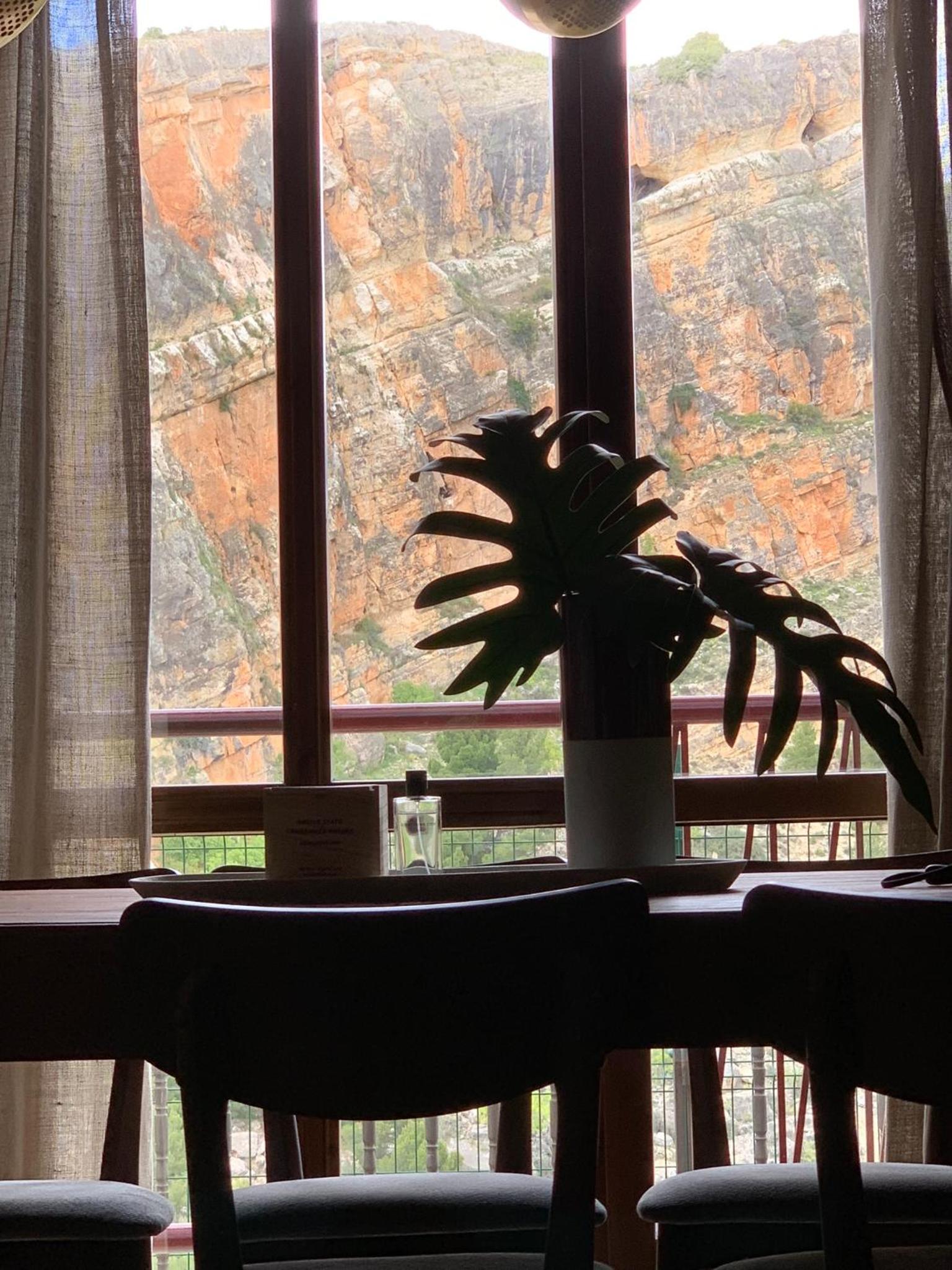 view