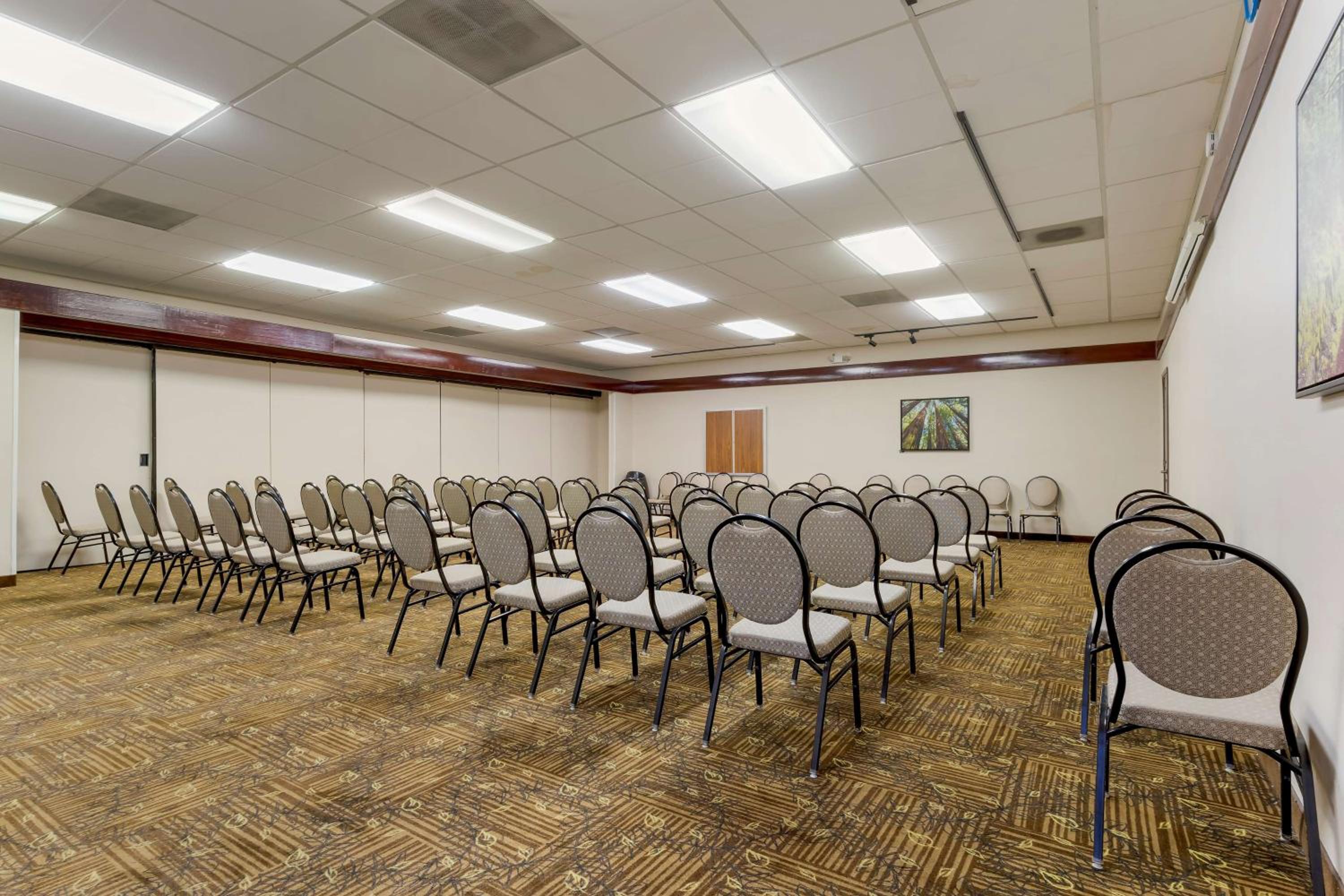 Best Western Plus Forest Park Inn - Property Image 37