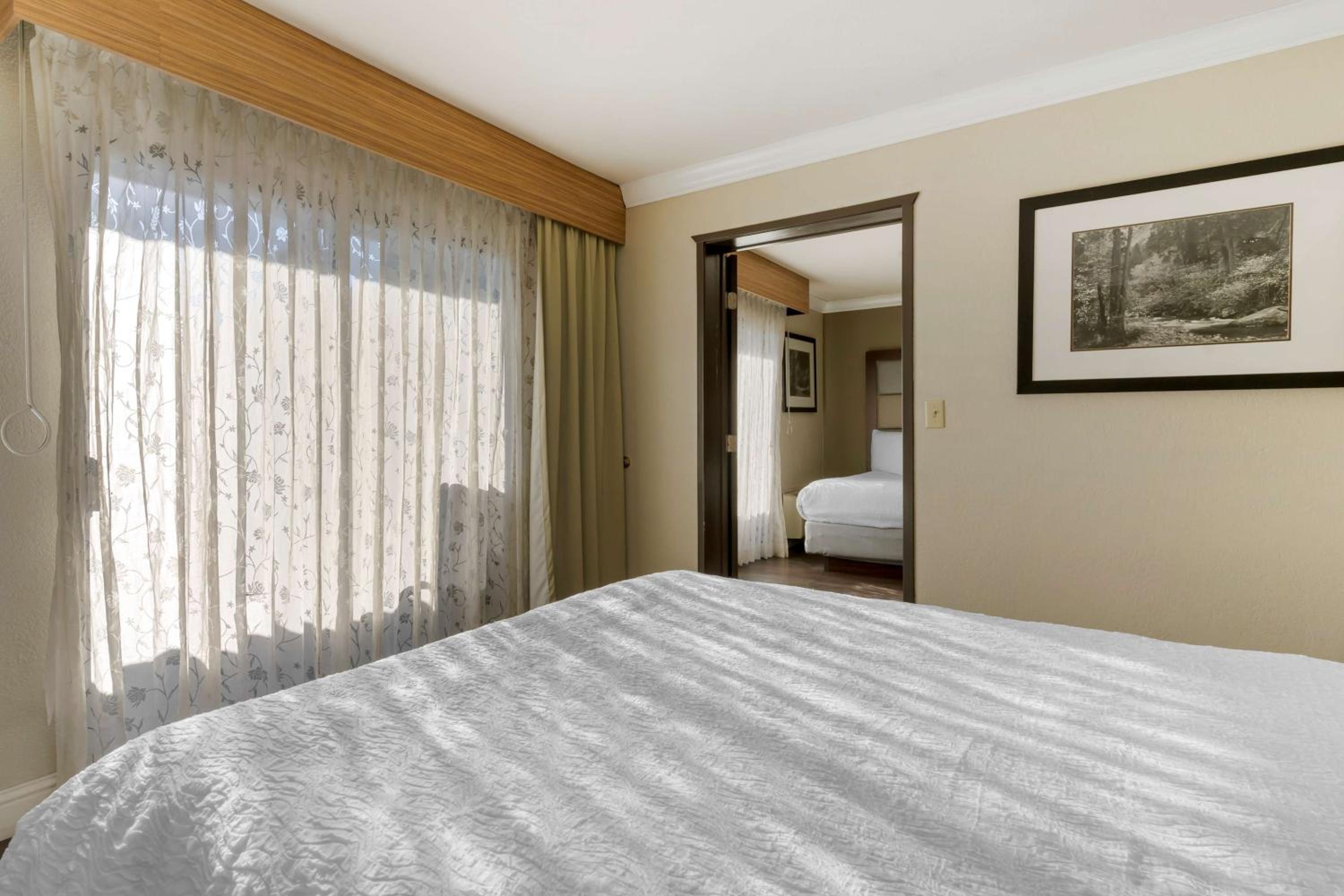 Best Western Plus Forest Park Inn - Property Image 42