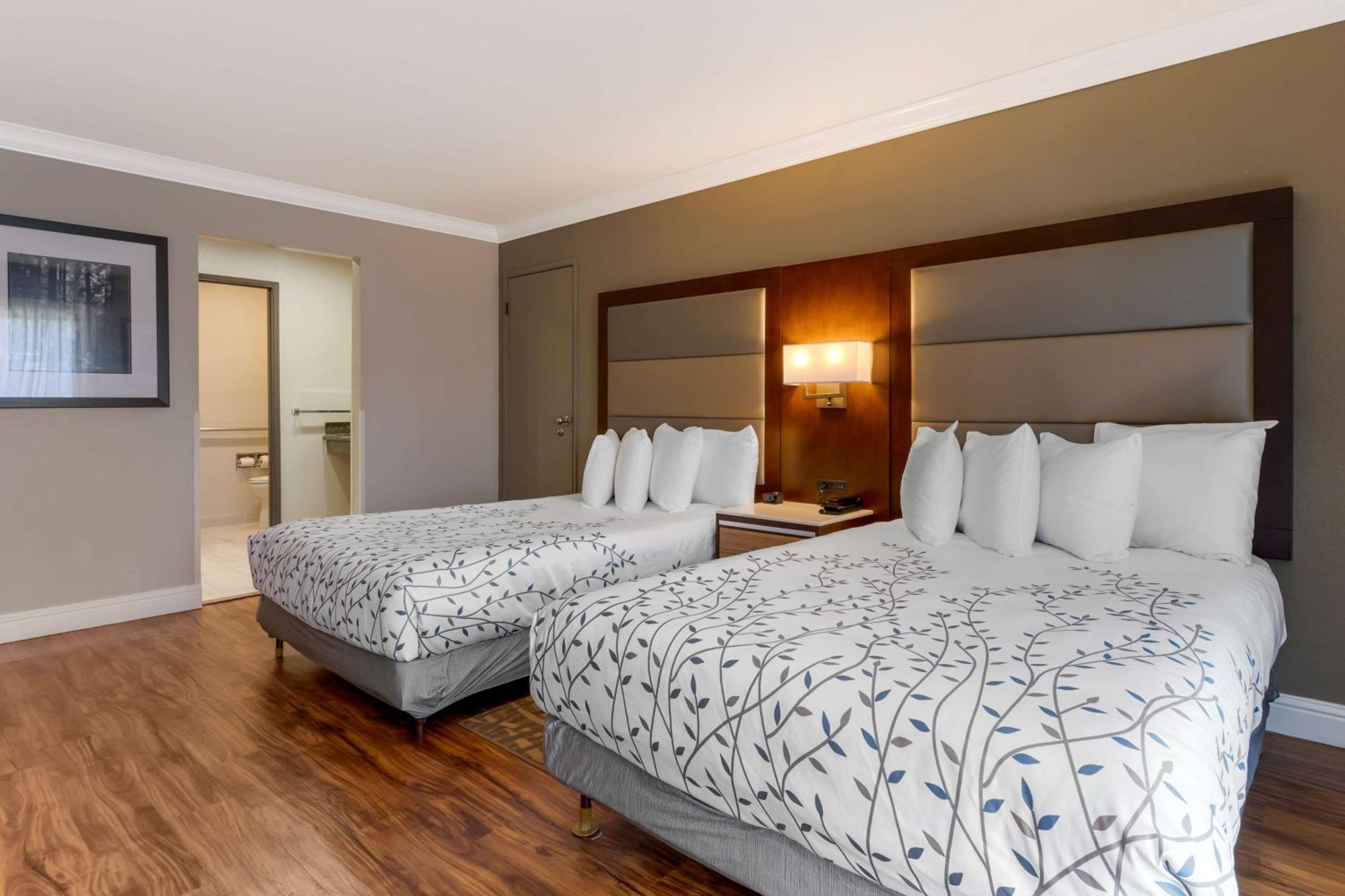 Best Western Plus Forest Park Inn - Property Image 50