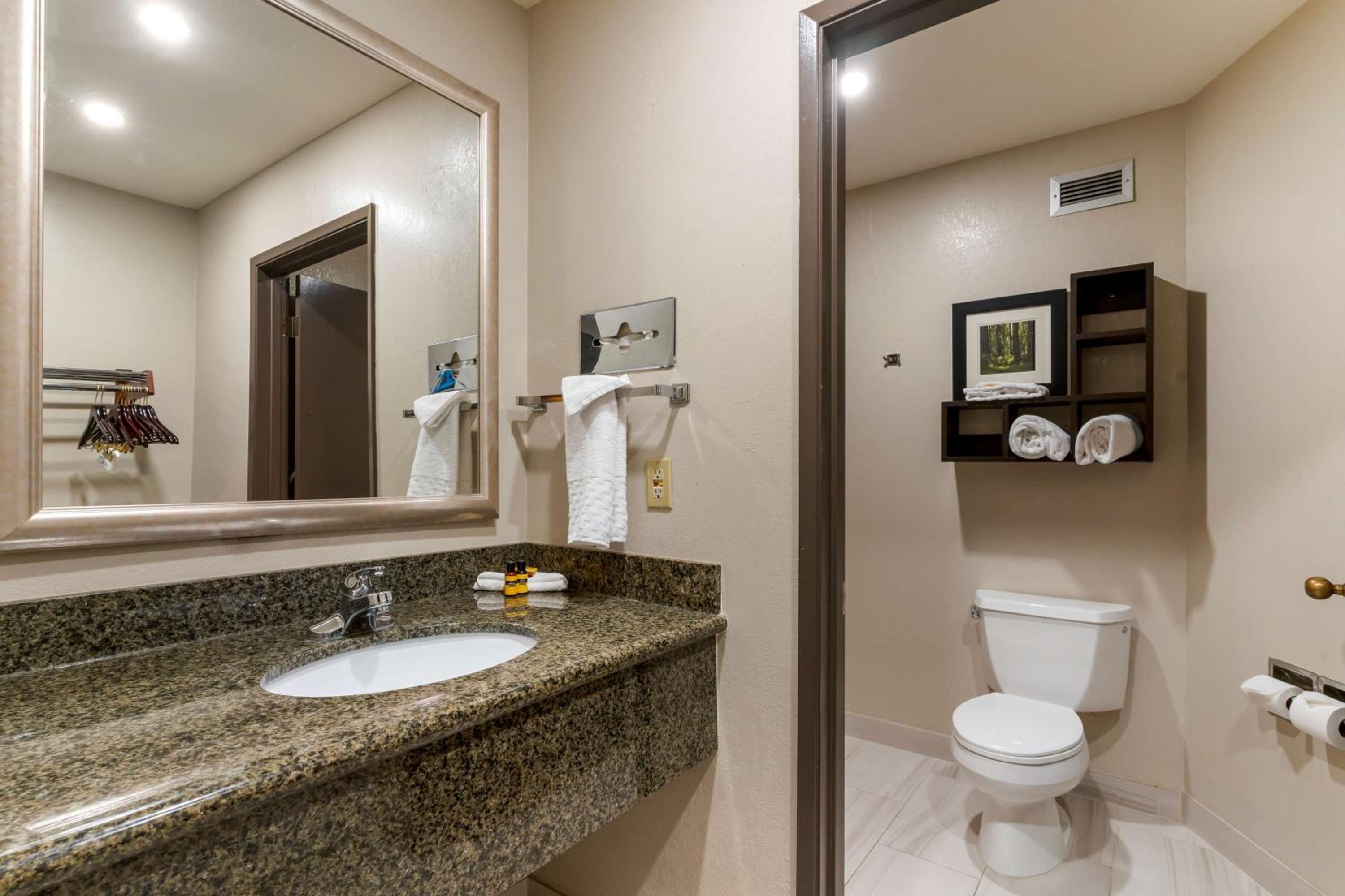 Best Western Plus Forest Park Inn - Property Image 27