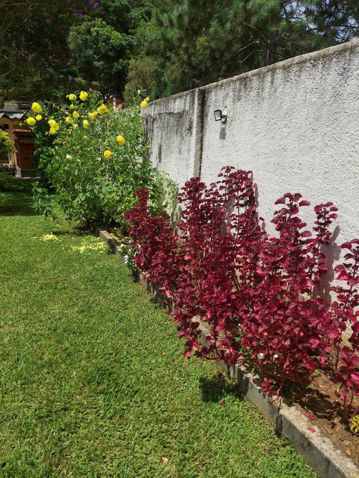 Casa Aconchegante - Circuito Teresópolis Friburgo
