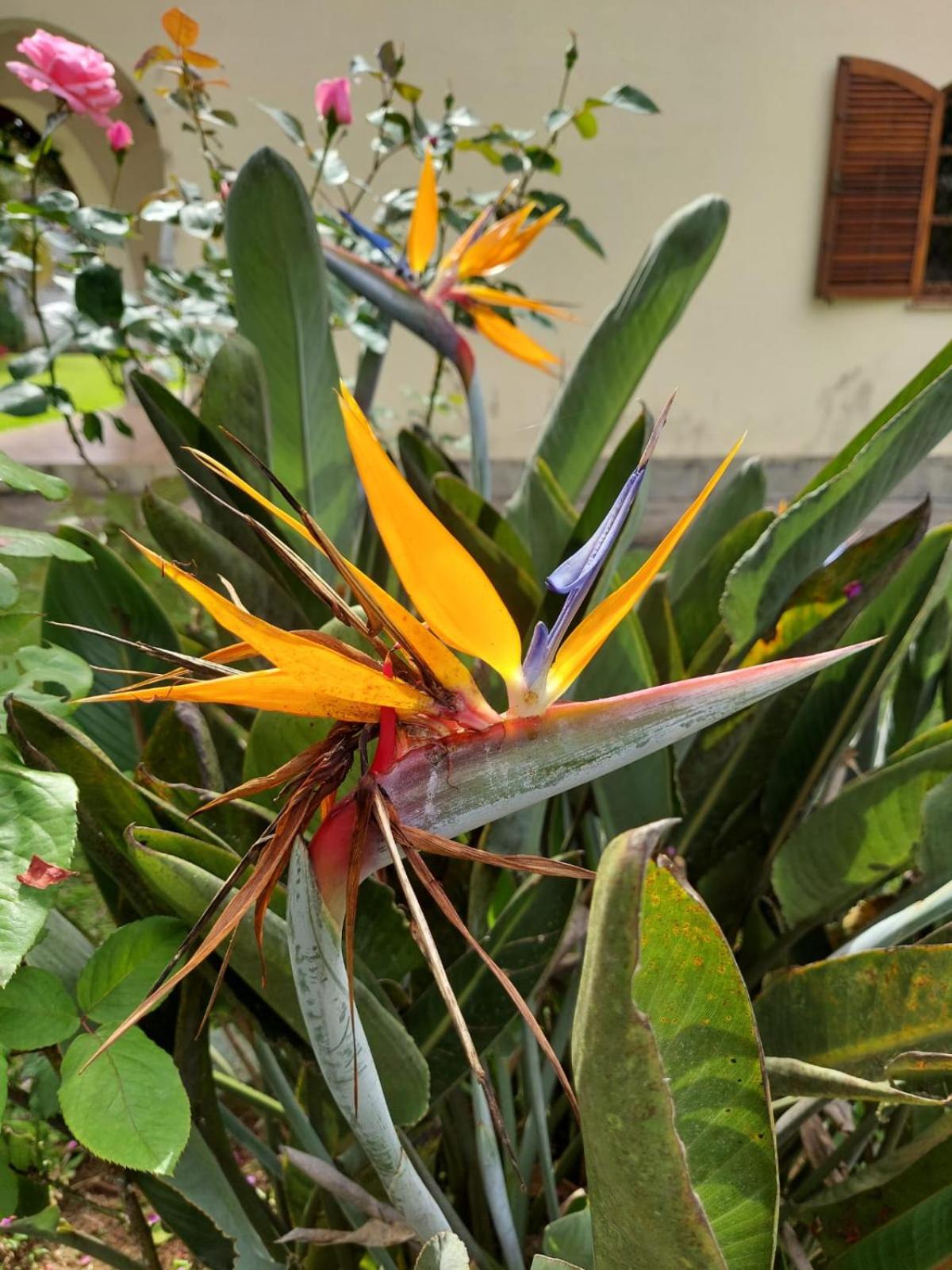 Casa Aconchegante - Circuito Teresópolis Friburgo